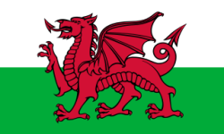 Billetterie Place match tournoi des 6 nations Pays de Galles - Angleterre
